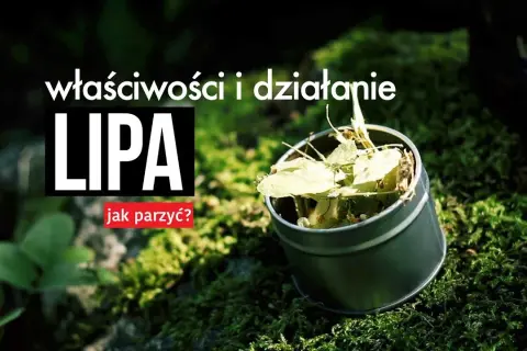 Herbata z lipy dla dziecka: Od kiedy bezpiecznie podawać?