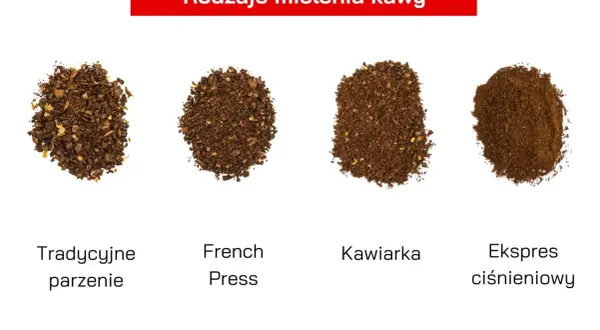 60g/1L: Jakie proporcje kawy do wody? Zaparz idealnie!