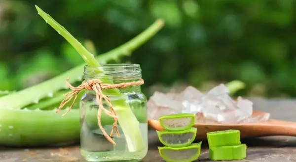 Aloes: Sok czy słodka pułapka? Jak wybrać najlepszy napój?