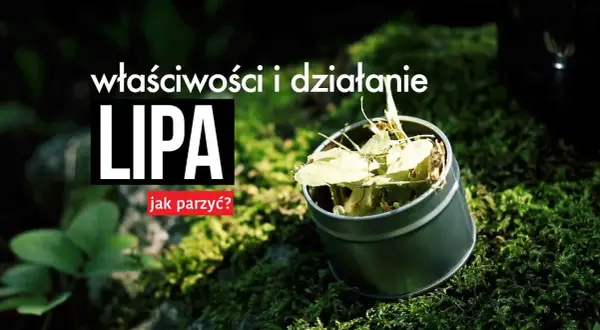 Herbata z lipy dla dziecka: Od kiedy bezpiecznie podawać?